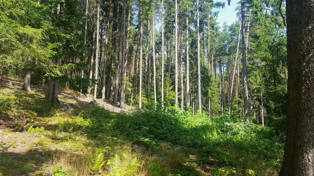 Malebná chalupa u Javorníku na Šumavě Vacov Exteriér fotografie